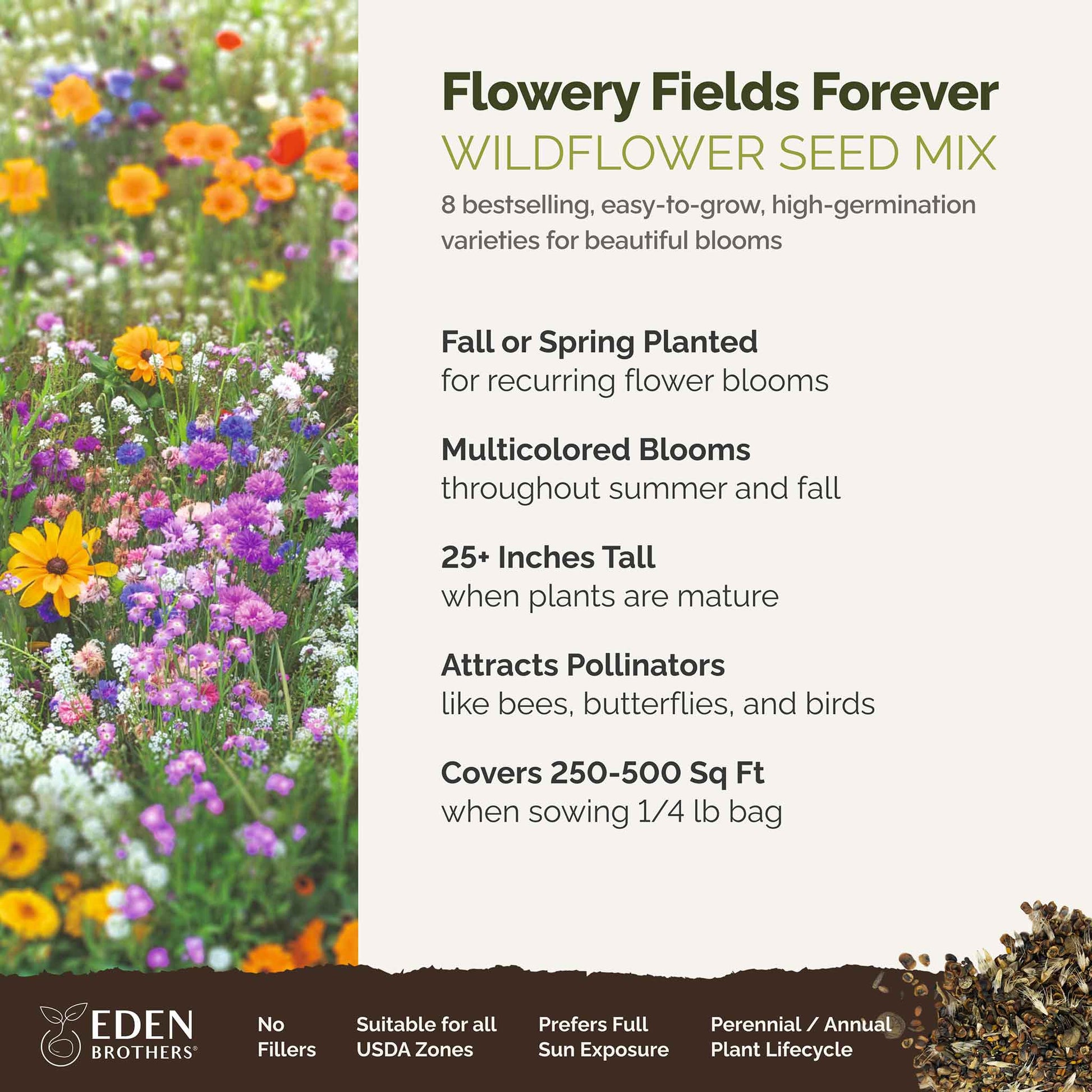 A visual overview of the wildflower seed mix, showcasing expected floral blooms.