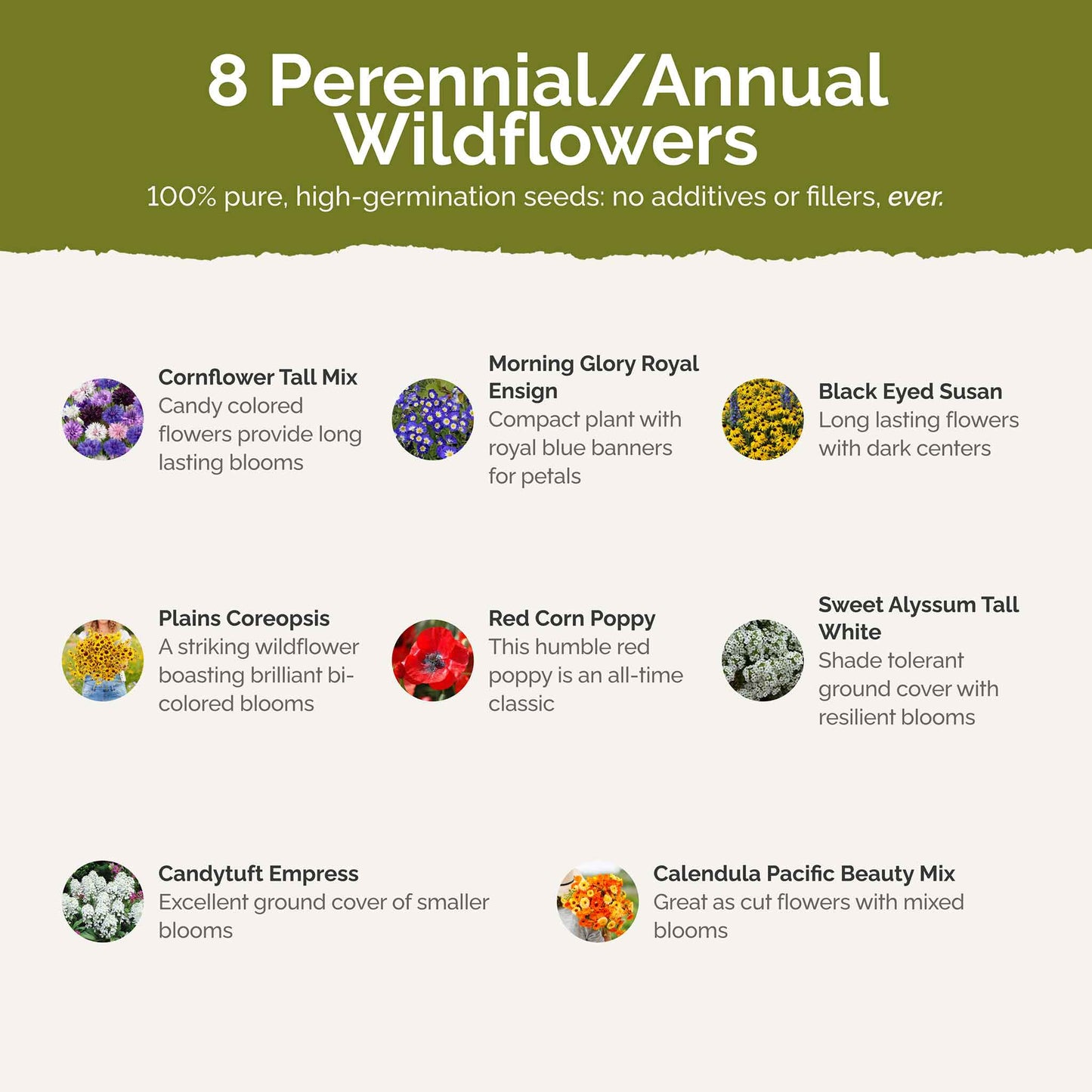 List of flower species and seeds included in the Wildflower Seed Mix.