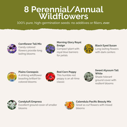 List of flower species and seeds included in the Wildflower Seed Mix.