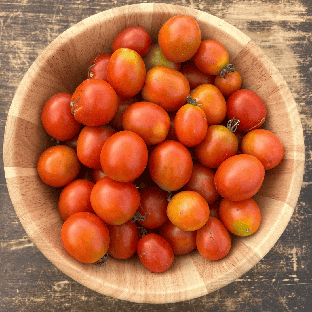 Frank's Iranian Tomato Seeds
