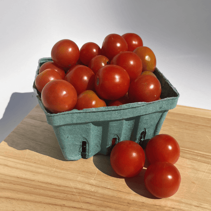 Gardener's Delight Tomato