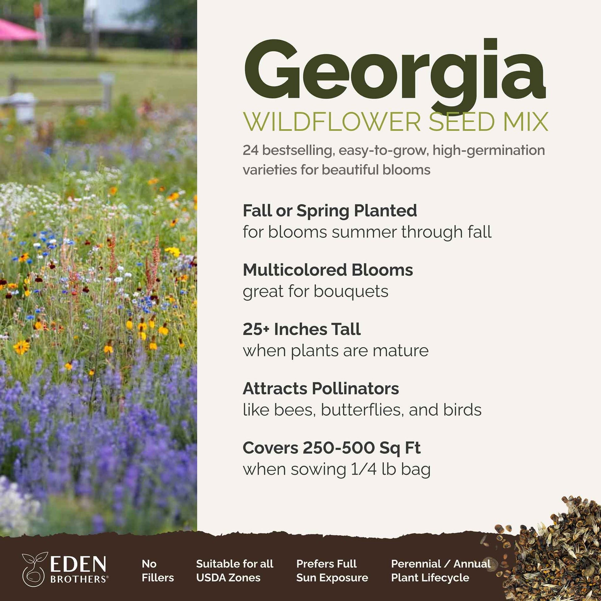 A visual overview of the wildflower seed mix, showcasing expected floral blooms.