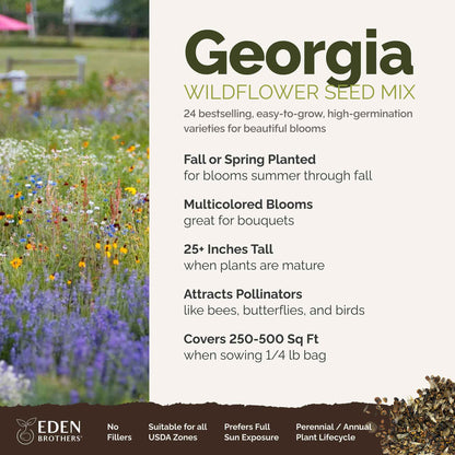 A visual overview of the wildflower seed mix, showcasing expected floral blooms.