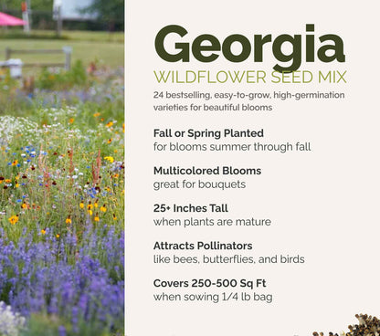 A visual overview of the wildflower seed mix, showcasing expected floral blooms.