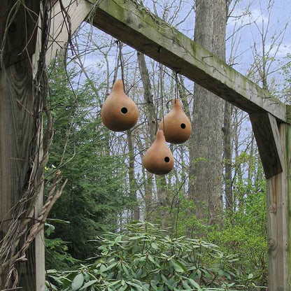 Birdhouse/Bottle gourds hanging from a post after being harvested and carved to create birdhouses.