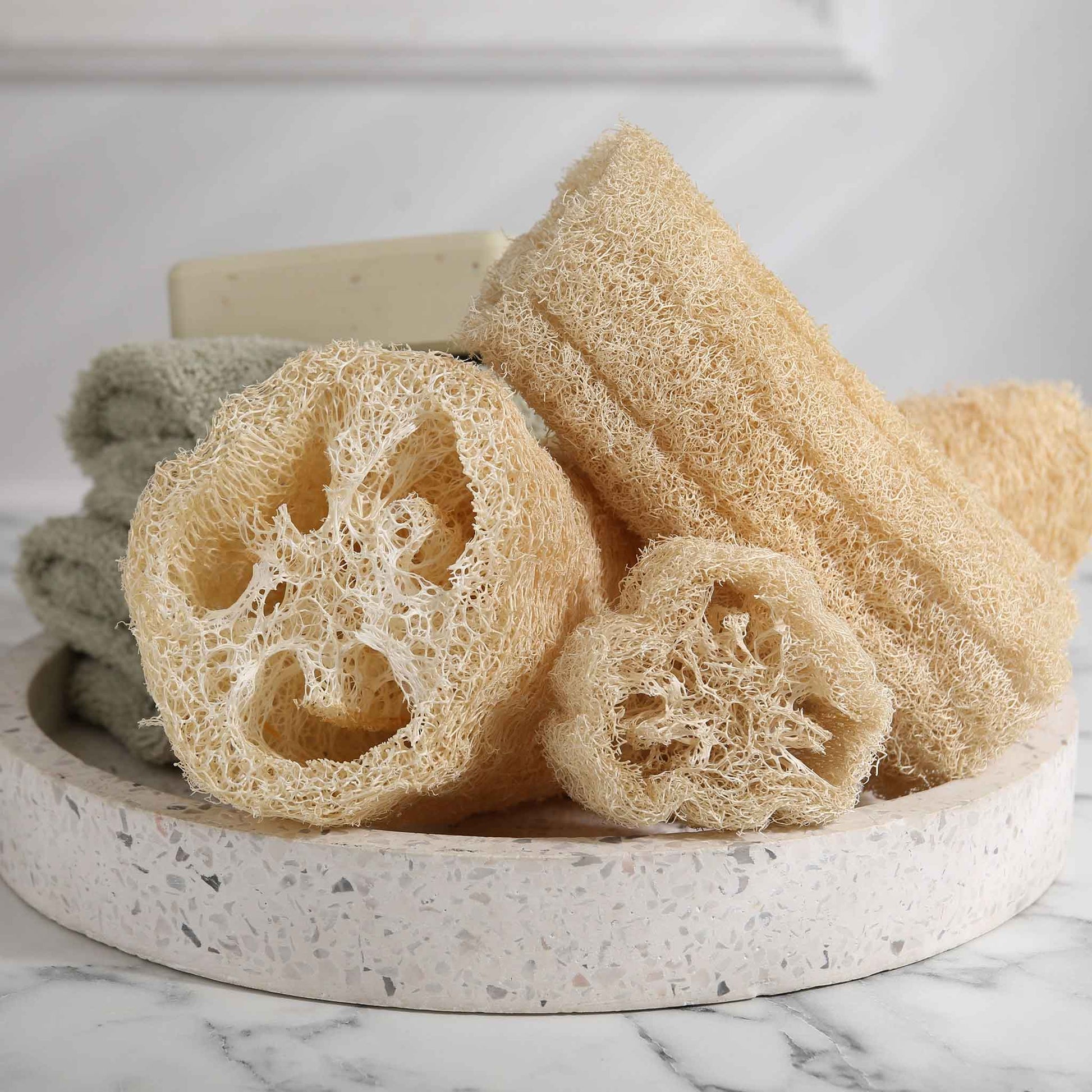 Several dried, fibrous luffa gourds in a group, showing their sponge-like interior.
