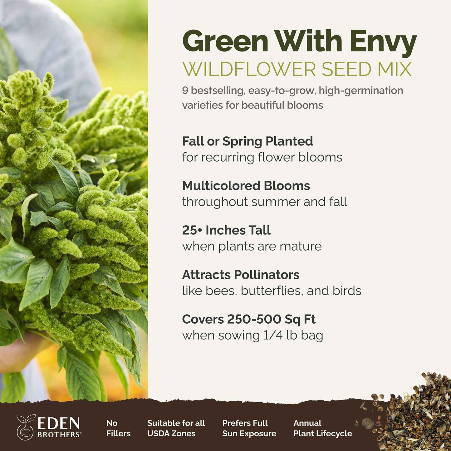 A visual overview of the wildflower seed mix, showcasing expected floral blooms.