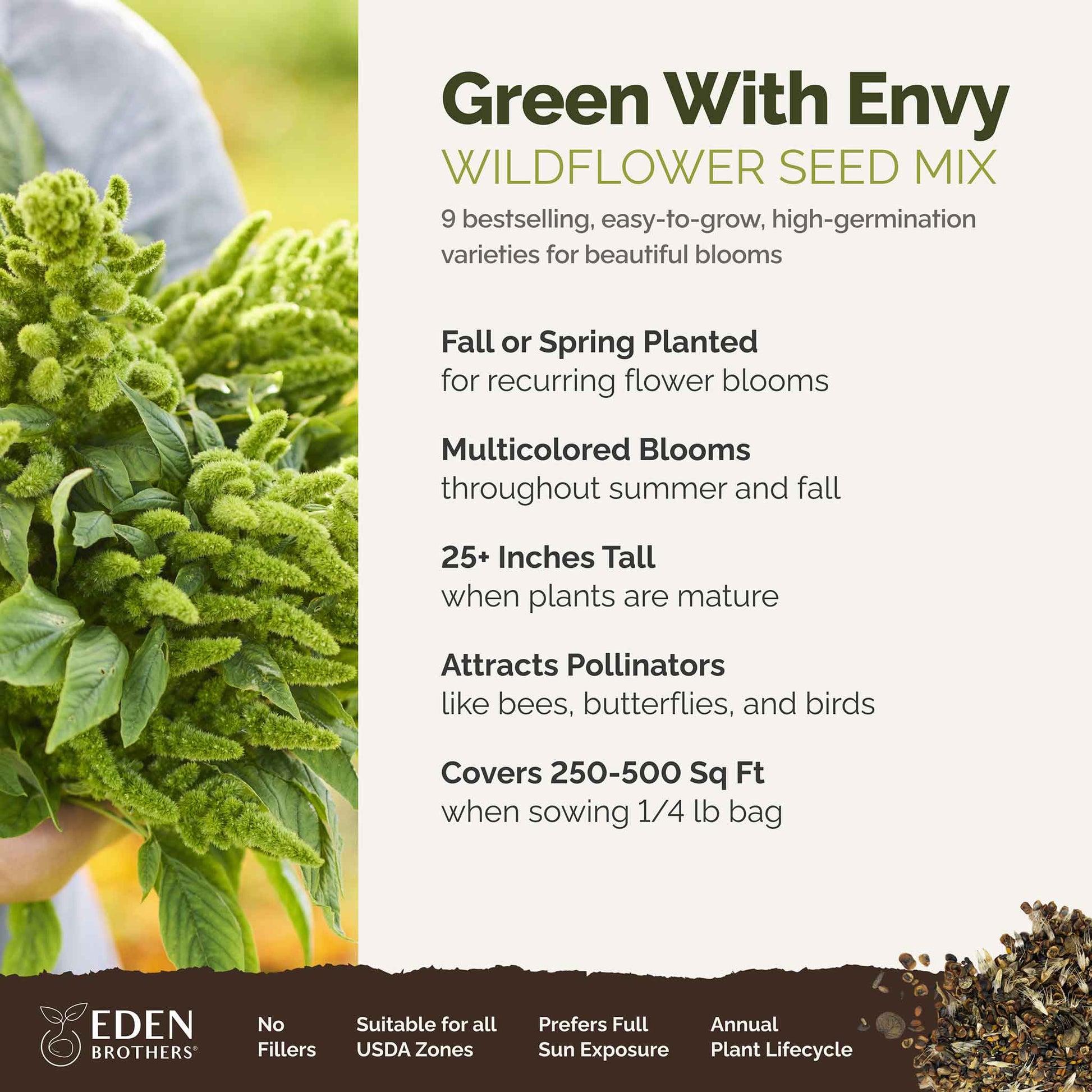 A visual overview of the wildflower seed mix, showcasing expected floral blooms.