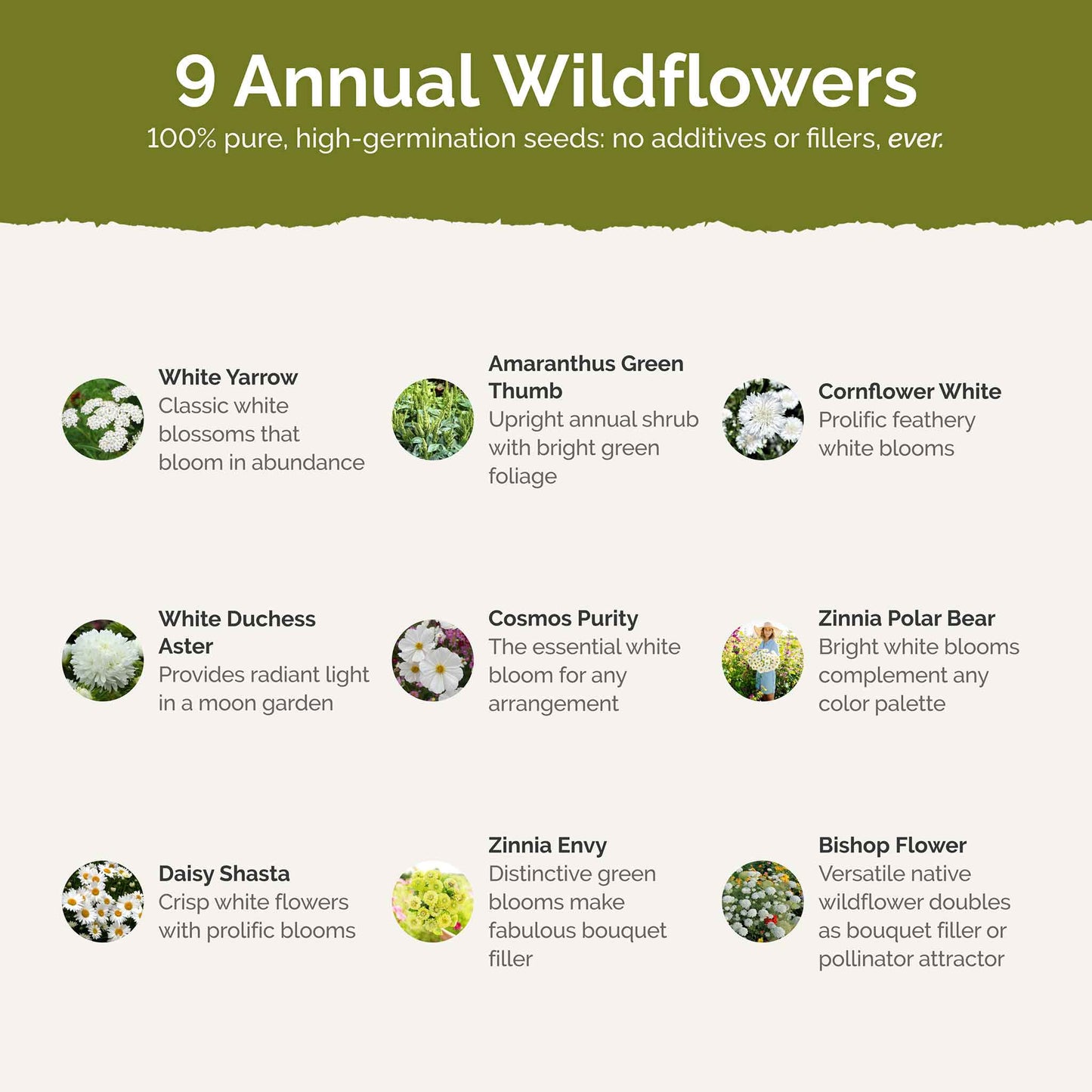 List of flower species and seeds included in the Wildflower Seed Mix.