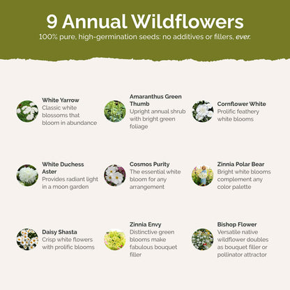 List of flower species and seeds included in the Wildflower Seed Mix.