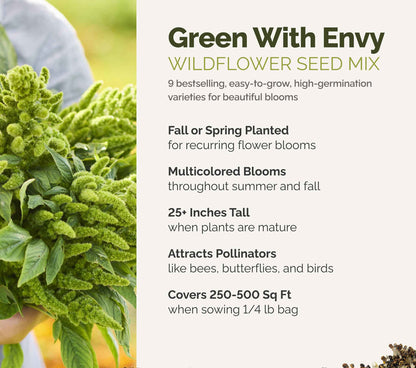 A visual overview of the wildflower seed mix, showcasing expected floral blooms.