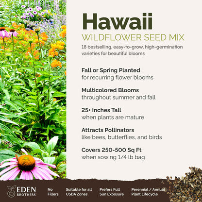 A visual overview of the wildflower seed mix, showcasing expected floral blooms.