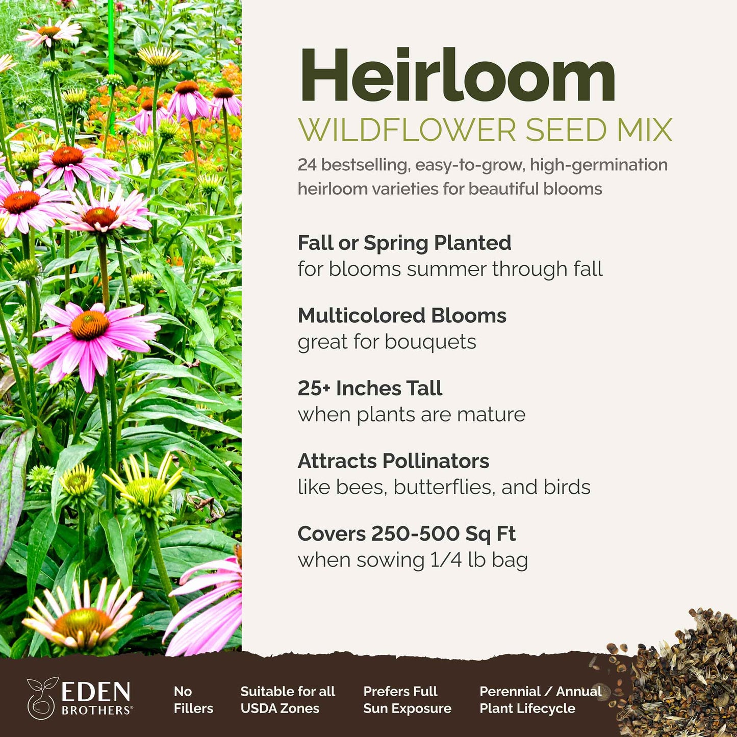A visual overview of the wildflower seed mix, showcasing expected floral blooms.