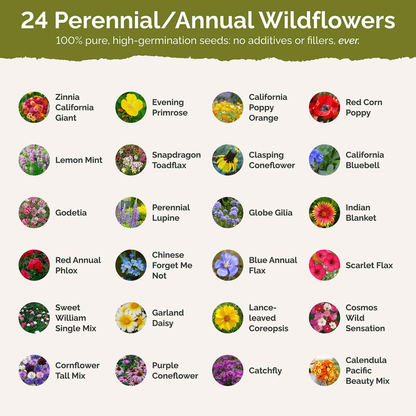 List of flower species and seeds included in the Wildflower Seed Mix.
