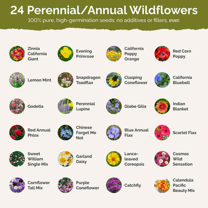 List of flower species and seeds included in the Wildflower Seed Mix.