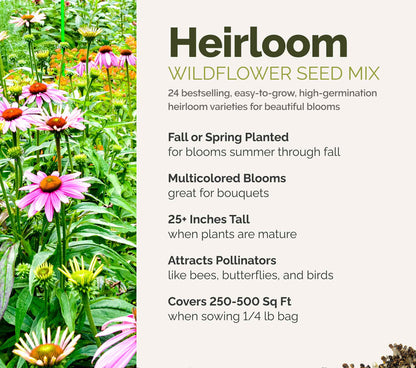 A visual overview of the wildflower seed mix, showcasing expected floral blooms.