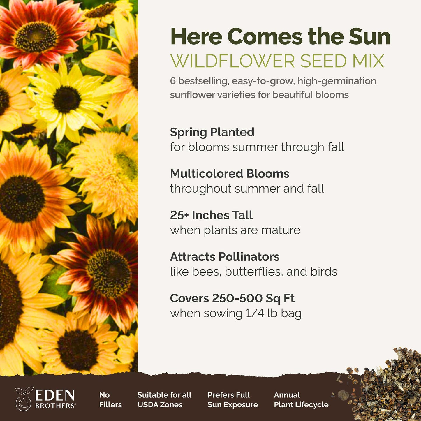A visual overview of the wildflower seed mix, showcasing expected floral blooms.