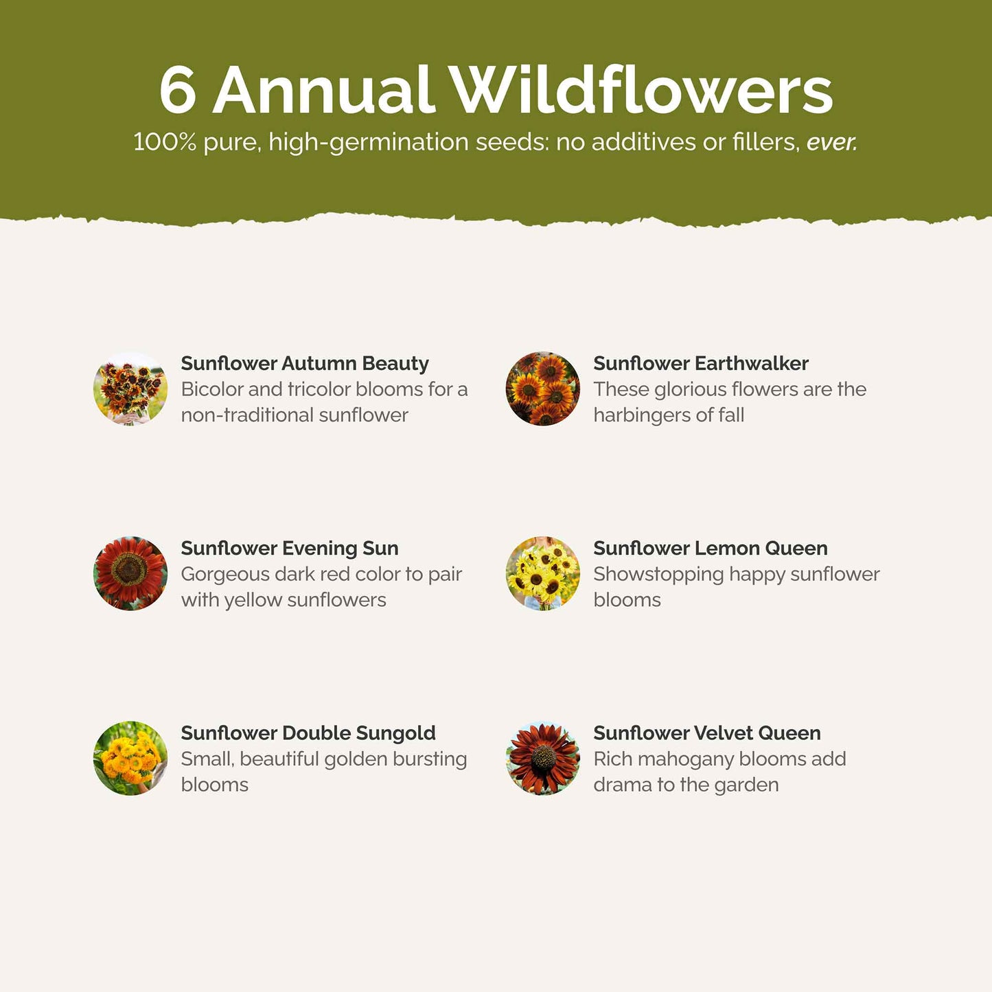 List of flower species and seeds included in the Wildflower Seed Mix.