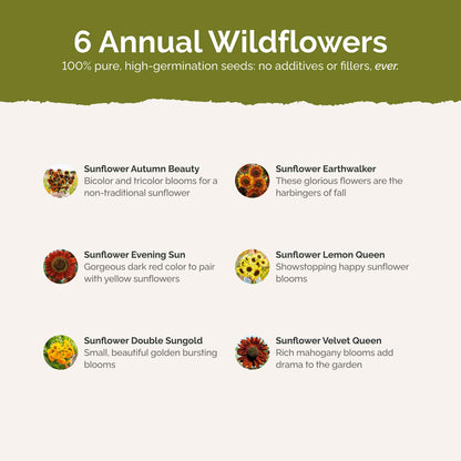 List of flower species and seeds included in the Wildflower Seed Mix.