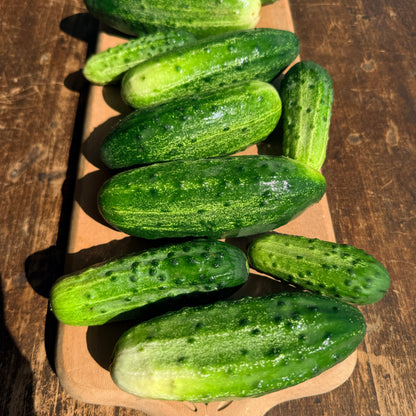 Homemade Pickles Cucumber