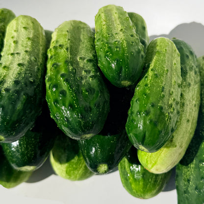 Homemade Pickles Cucumber