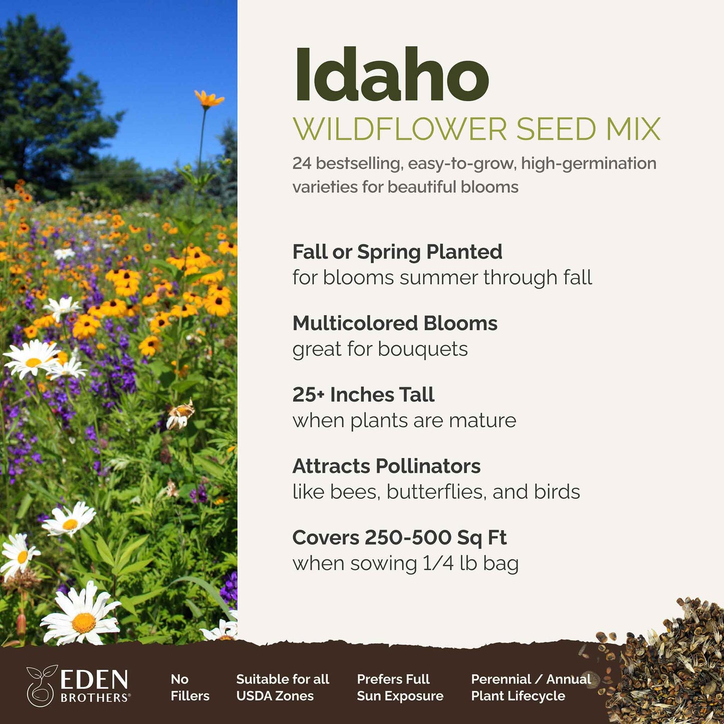 A visual overview of the wildflower seed mix, showcasing expected floral blooms.