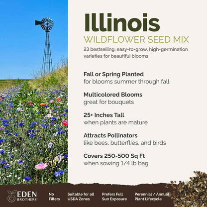 A visual overview of the wildflower seed mix, showcasing expected floral blooms.