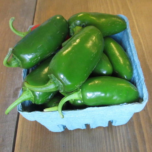 Tam Jalapeno Pepper Seedlings – live vegetables seedling