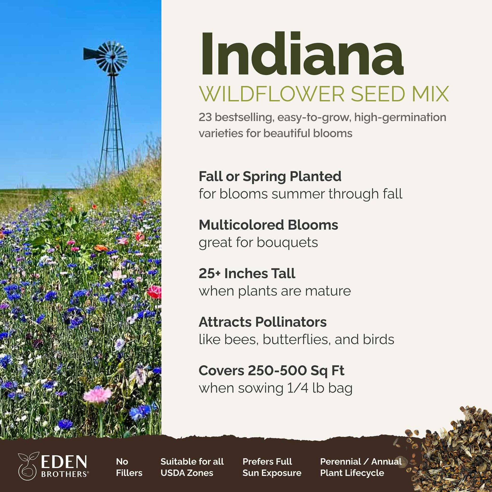 A visual overview of the wildflower seed mix, showcasing expected floral blooms.