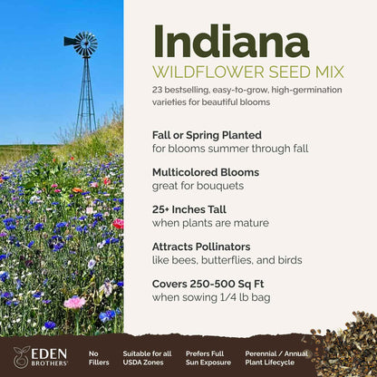 A visual overview of the wildflower seed mix, showcasing expected floral blooms.