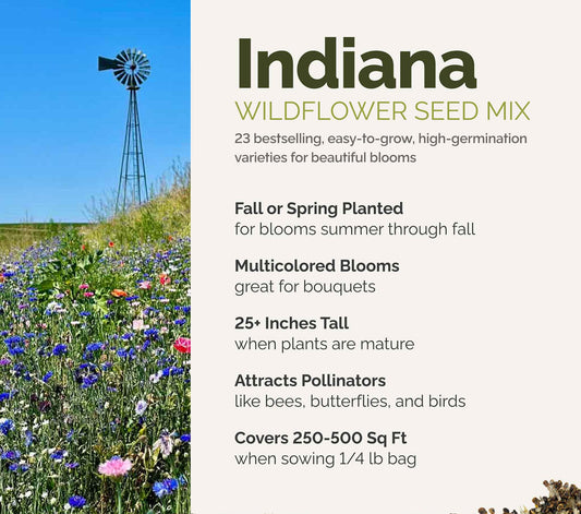 A visual overview of the wildflower seed mix, showcasing expected floral blooms.