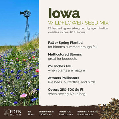 A visual overview of the wildflower seed mix, showcasing expected floral blooms.