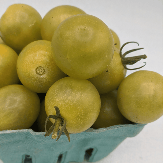 Jaded Tomato – vegetable seed variety