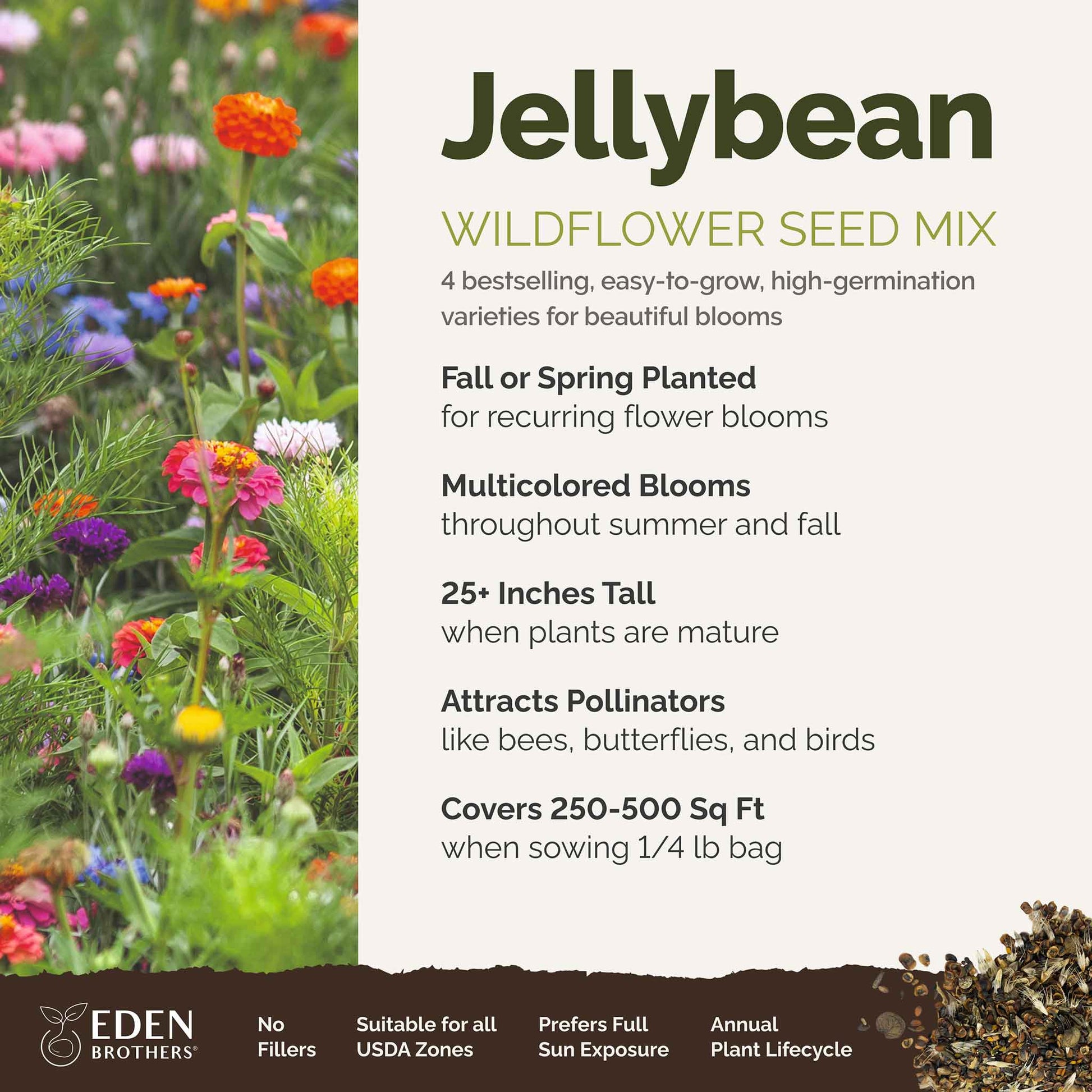 A visual overview of the wildflower seed mix, showcasing expected floral blooms.
