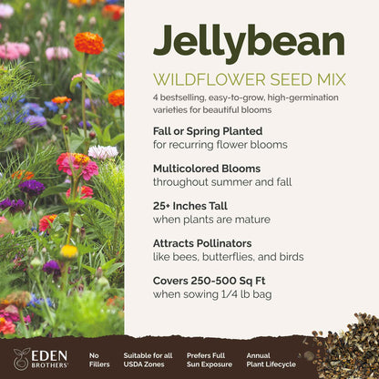 A visual overview of the wildflower seed mix, showcasing expected floral blooms.