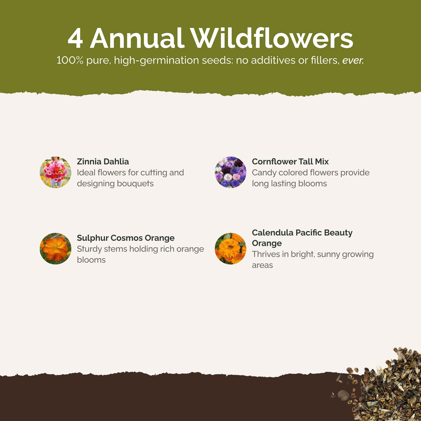 List of flower species and seeds included in the Wildflower Seed Mix.