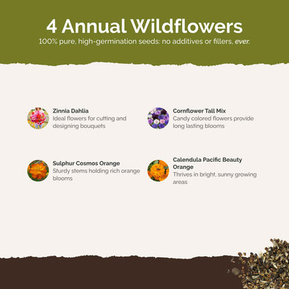 List of flower species and seeds included in the Wildflower Seed Mix.
