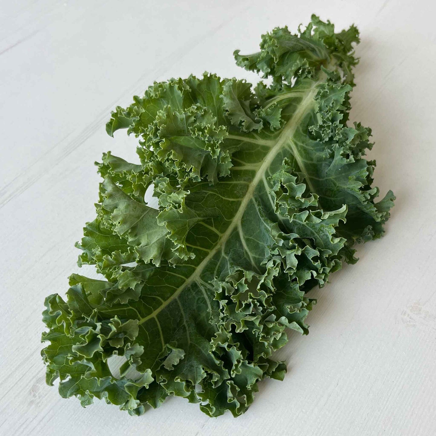 Dwarf Siberian kale seeds, a healthy, leafy green vegetable.