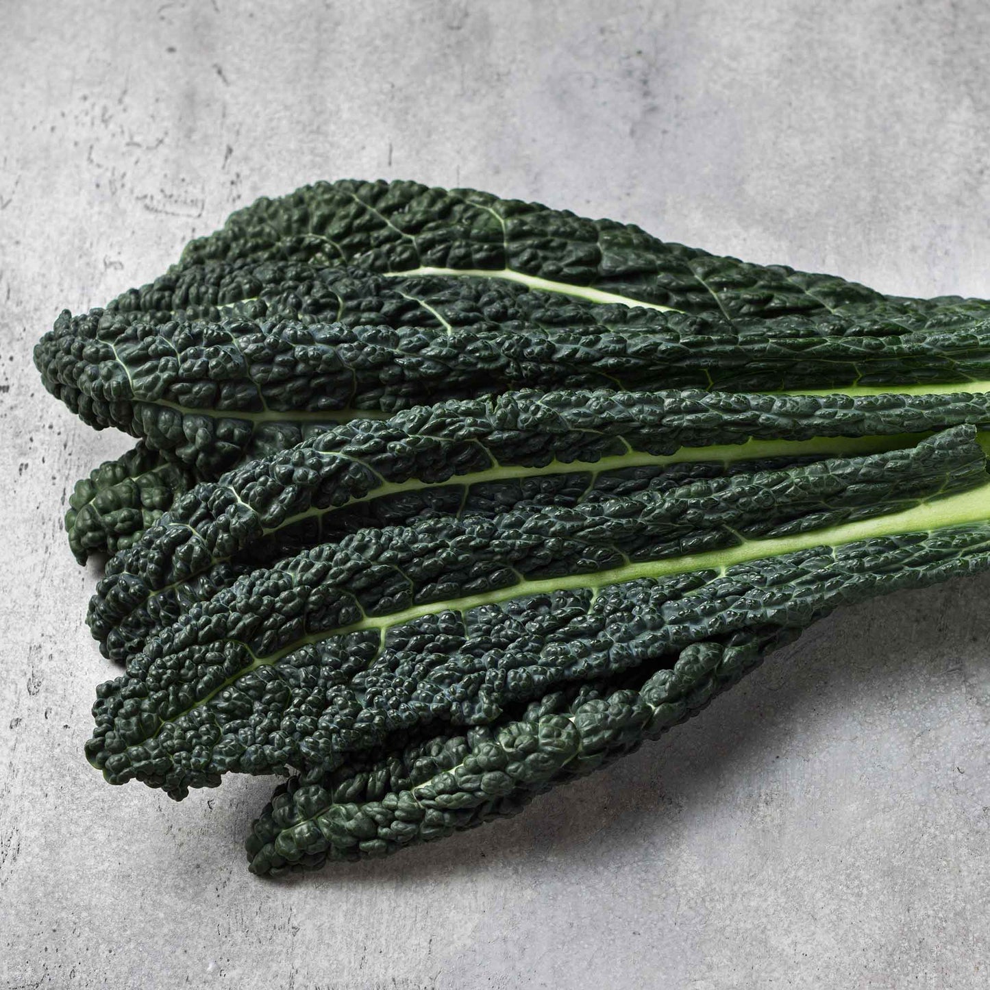 A close-up of a bunch of dark green, crinkly Lacinato kale leaves.