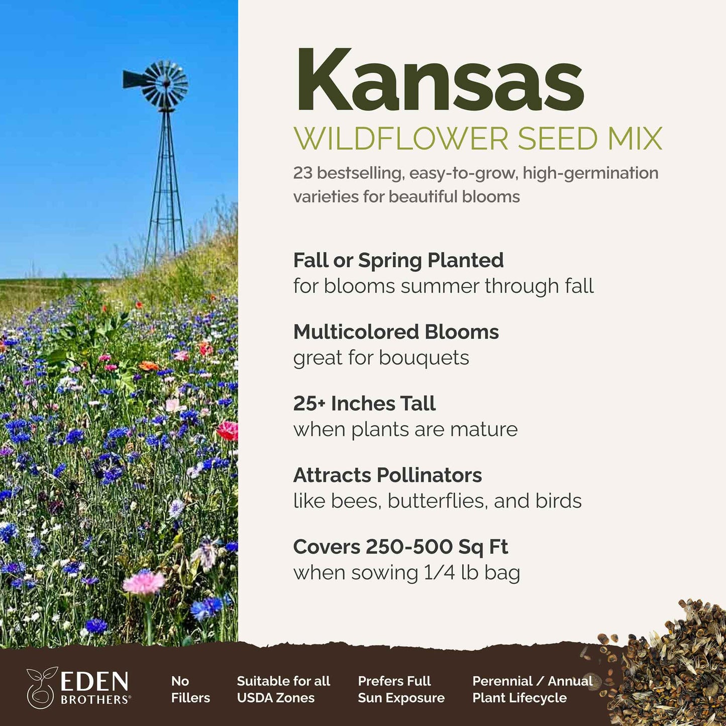 A visual overview of the wildflower seed mix, showcasing expected floral blooms.