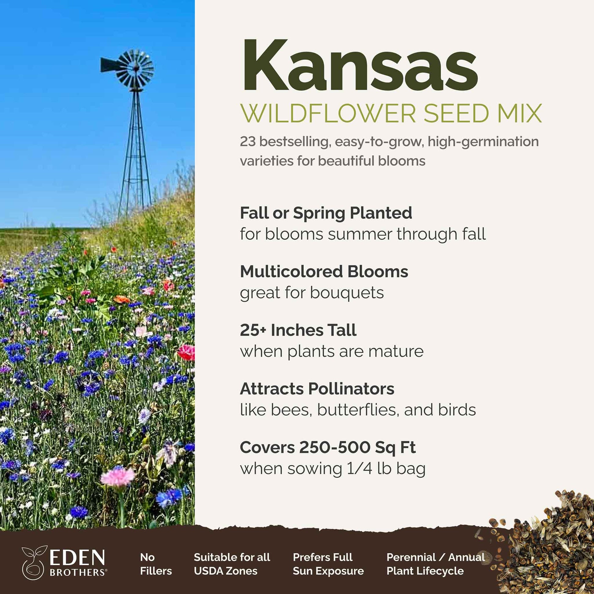 A visual overview of the wildflower seed mix, showcasing expected floral blooms.