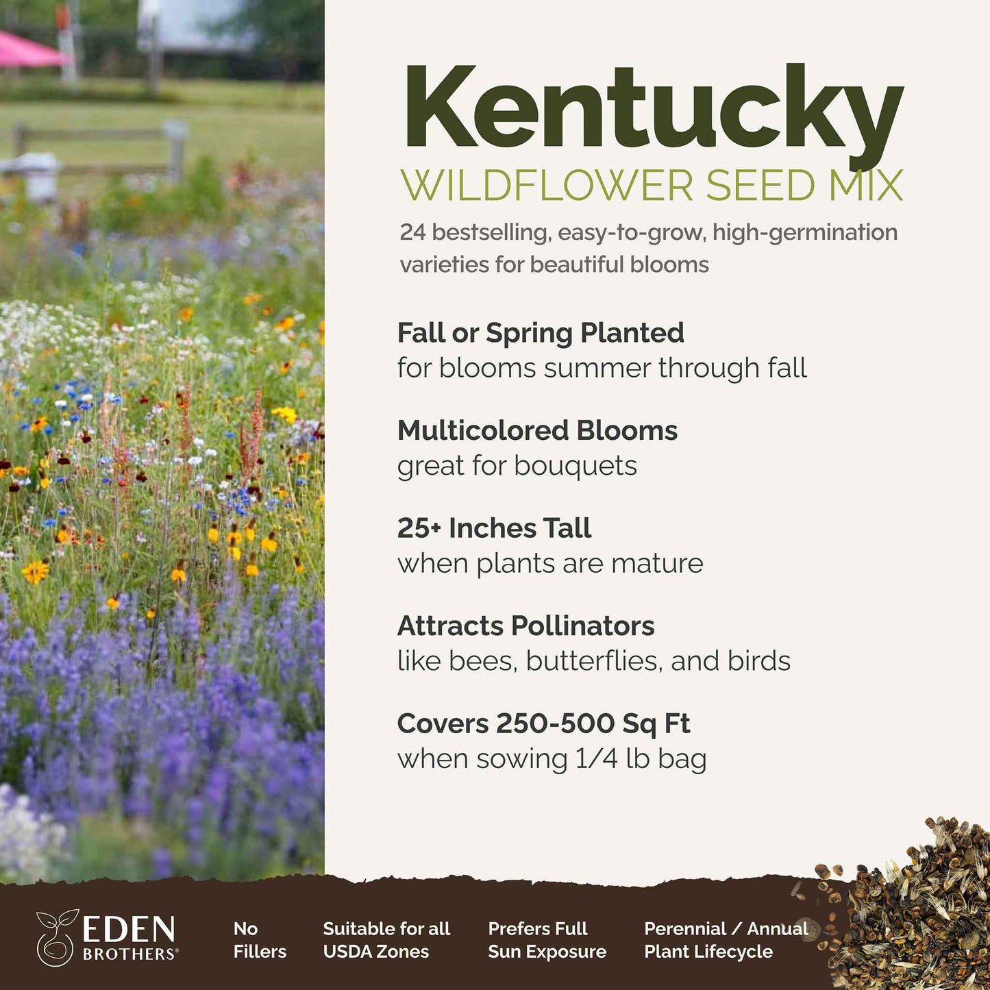 A visual overview of the wildflower seed mix, showcasing expected floral blooms.