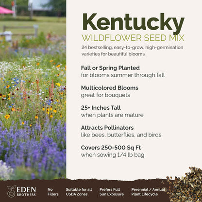 A visual overview of the wildflower seed mix, showcasing expected floral blooms.