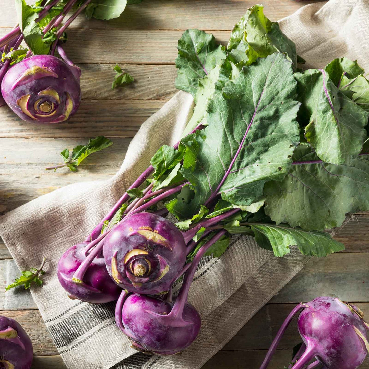 A purple vienna kohlrabi plant with green leaves growing in a garden, shown from a slightly elevated angle.