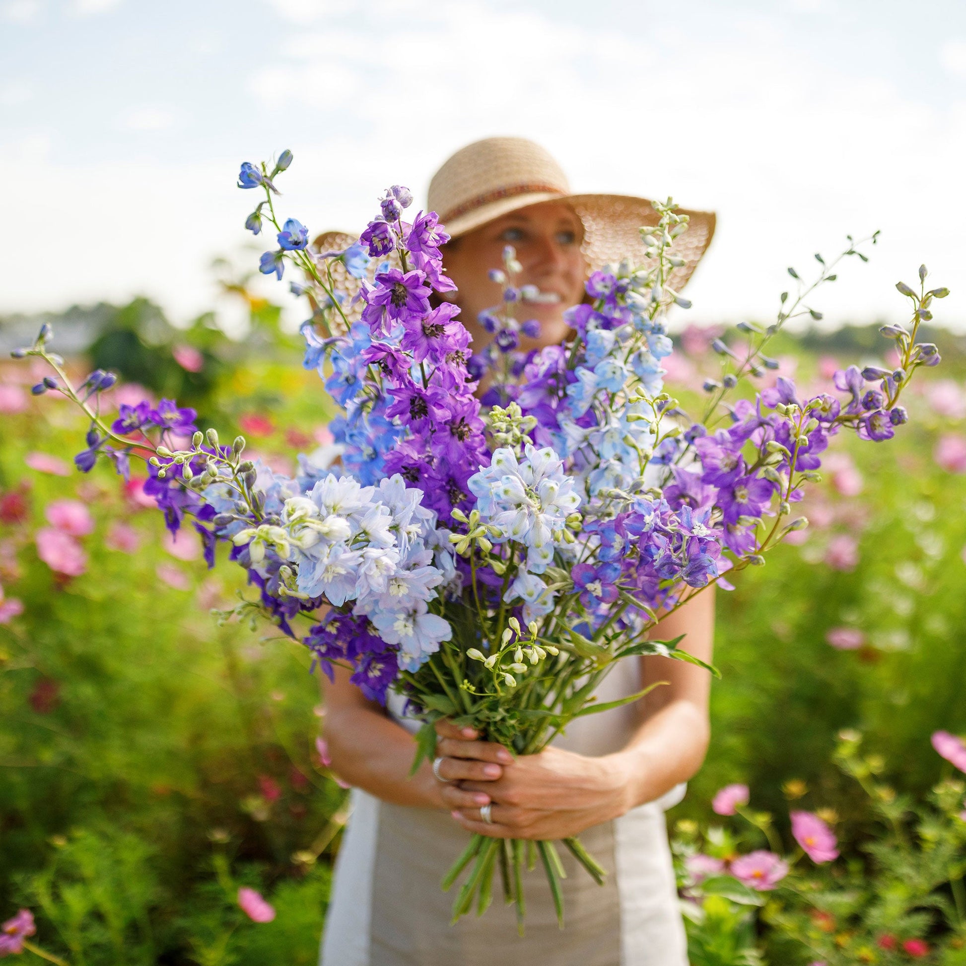 A person holding a bouquet of rocket larkspur flowers in a garden.