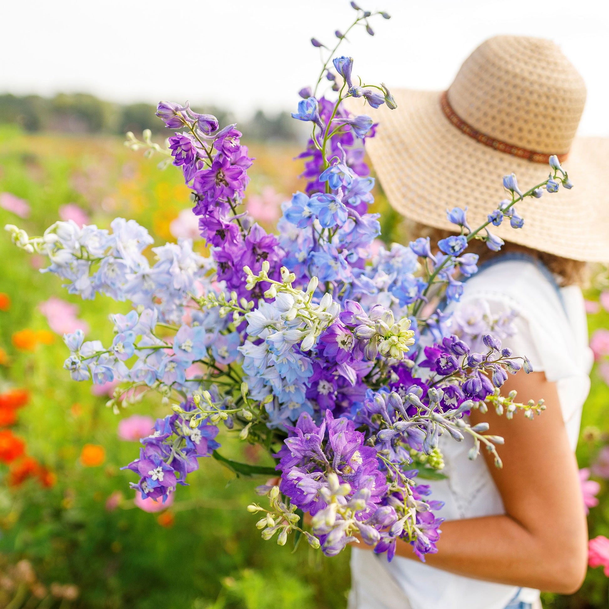 A person holding a bouquet of rocket larkspur flowers in a garden.