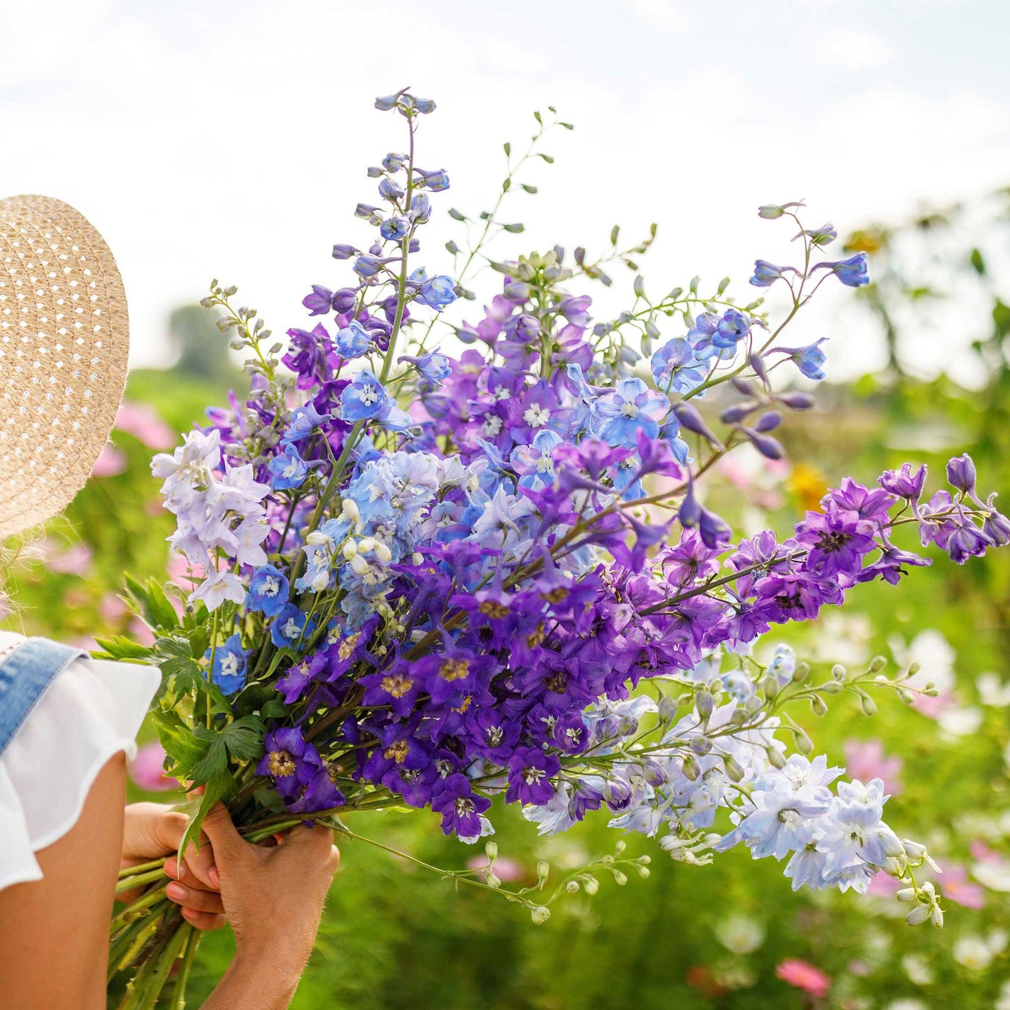 A person holding a bouquet of rocket larkspur flowers in a garden.