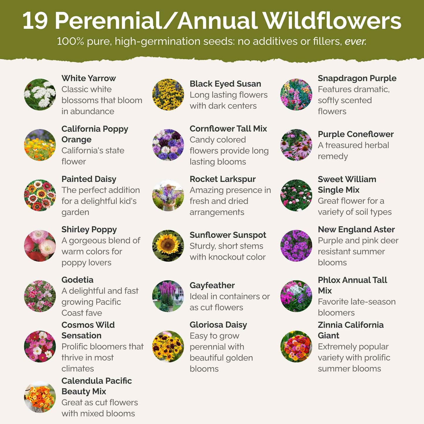 List of flower species and seeds included in the Wildflower Seed Mix.