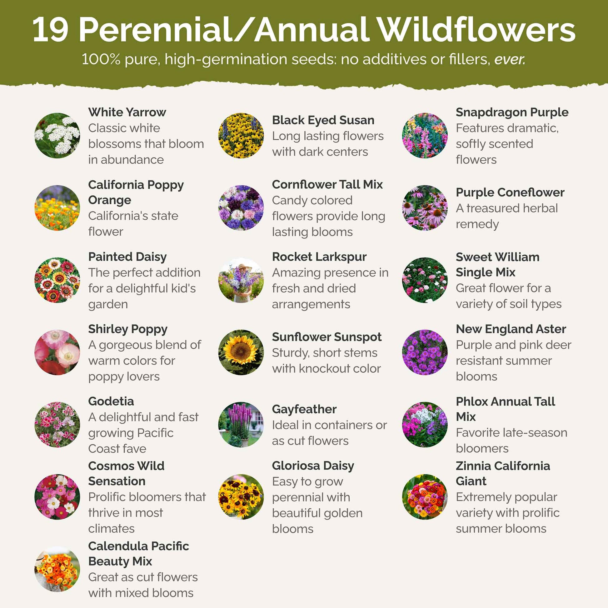 List of flower species and seeds included in the Wildflower Seed Mix.