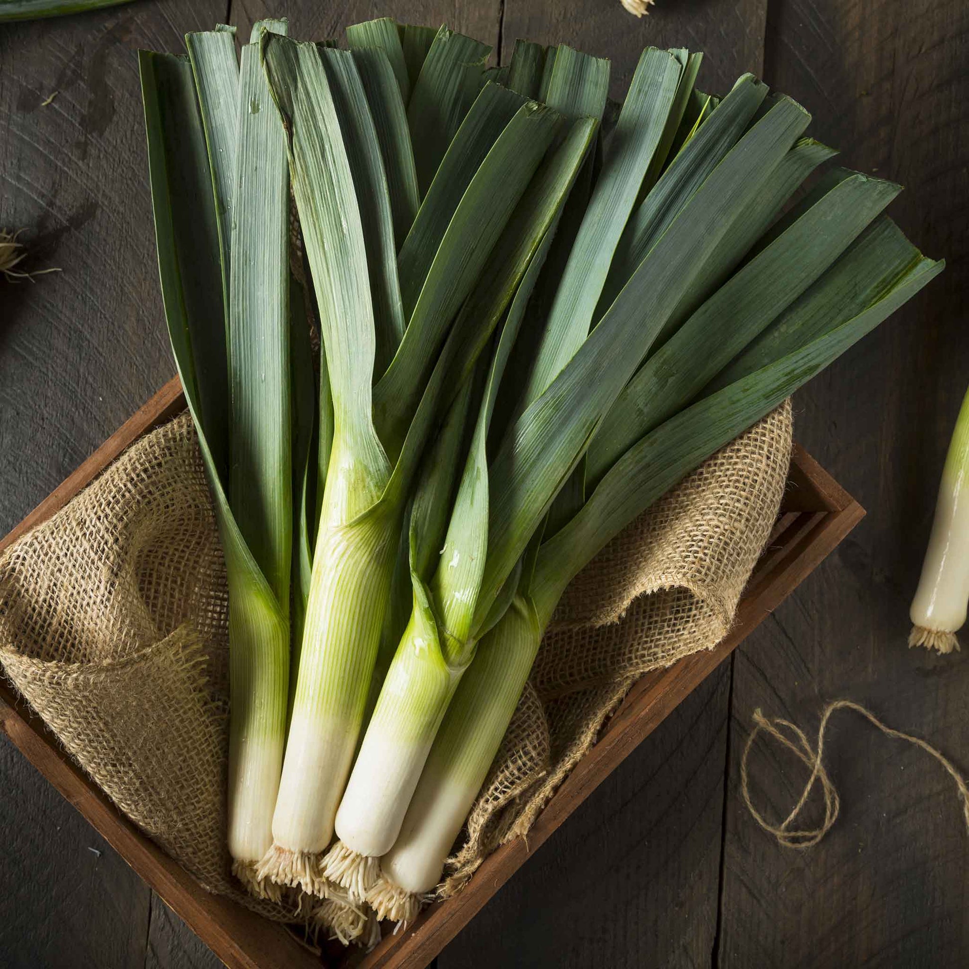 A close-up of a bunch of green leeks with white bottoms, on a dark background.